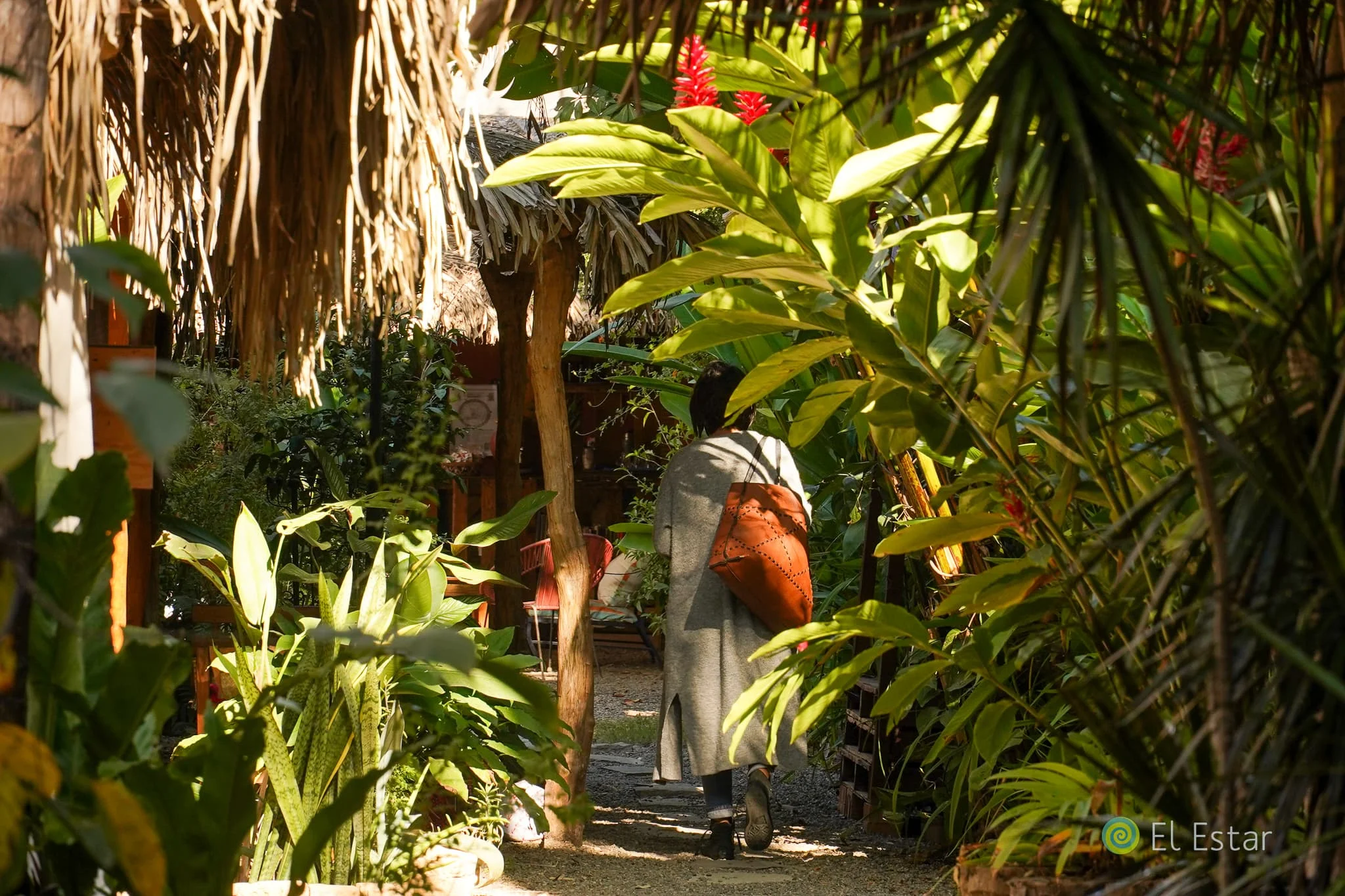 Cabañas de bambú en El Estar